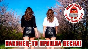 Наконец то пришла весна