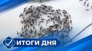 Итоги дня. 19 марта 2026 года