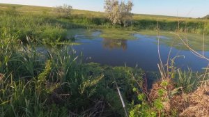 ЛОВЛЯ РЫБЫ В САРАТОВСКОЙ ОБЛАСТИ
