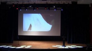 Вечер памяти Святителя Луки Войно-Ясенецкого