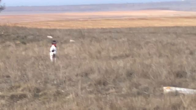 Едан. 19.03.26 смотреть онлайн