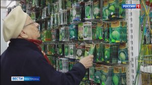 Как отличить настоящие семена от пустышек – костромичам рассказали специалисты Россельхознадзора