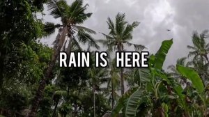 Будни африканской деревни.