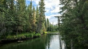 ТАЙГА. Рассказы охотника.Истории о тайге