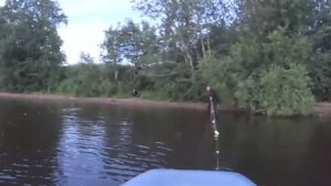 Споймали неводом ведро рыбы! Когда Белая ночь!