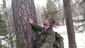 Весенний лес! Путешествие вдоль реки.