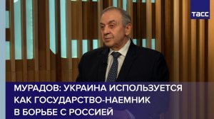 Украина используется как государство-наемник в борьбе с Россией