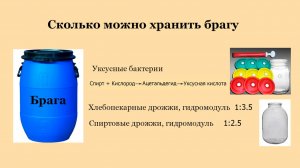 Сколько можно хранить брагу.