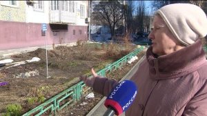 Крокусы зацвели в тюменском дворе