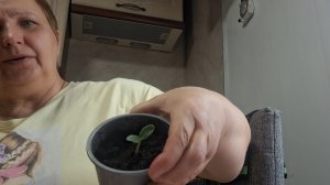 О жизни деревенской