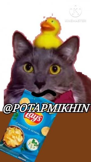 Lotkov1231 ест чипсы Lay's