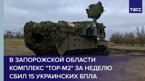 В Запорожской области комплекс "Тор-М2" за неделю сбил 15 украинских БПЛА