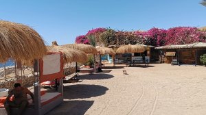 Шарм-эль-Шейх. Отель,,Siva Sharm Resort Spa 4*. На пляже