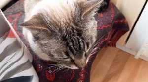 19 марта 2026. Мартовские моменты...