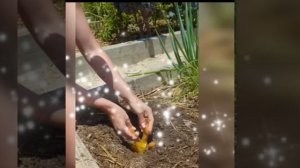 То Эйнштейн, то сказочная дура!