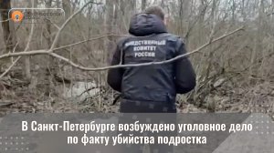 В Санкт-Петербурге возбуждено уголовное дело по факту убийства подростка