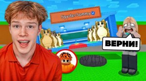 Я ЗАТРОЛЛИЛ ДЕВУШКУ И СТАЛ АДМИНОМ SAMMY В STEAL A BRAINROT😂