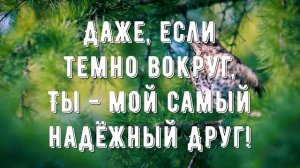 Хорошо мне с Тобою быть - минус мой 2