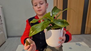 Хищные растения.