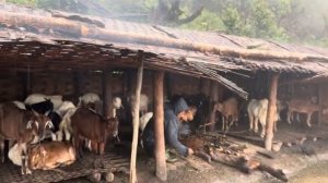 Деревенская жизнь в Непале.