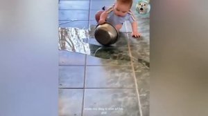 БЕССТЫЖИЕ_ЖИВОТНЫЕ_КОТОРЫЕ_ПЕРЕШЛИ_ВСЕ_ГРАНИЦЫ😈_СМЕШНЫЕ_СОБАКИ_и