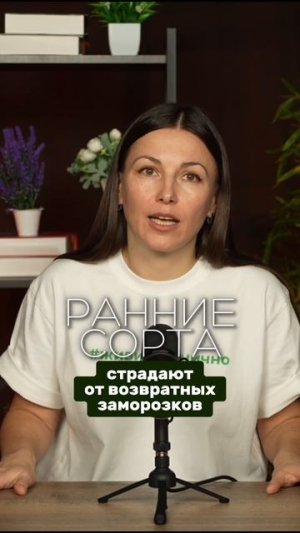 земляника: лучшая ягода в твоем саду #дачныесоветы #садогород #садоводничество