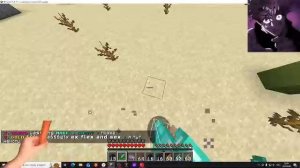 играю в майнкрафт на серверах