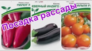 Посадка рассады 19.03.26