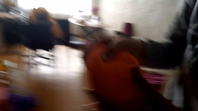 мандарин кинуть в капибару