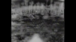 Дроноводы «Рубикона»