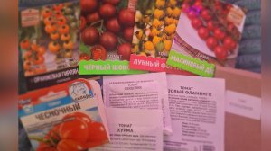 18.03.26 Сею семена Томатов