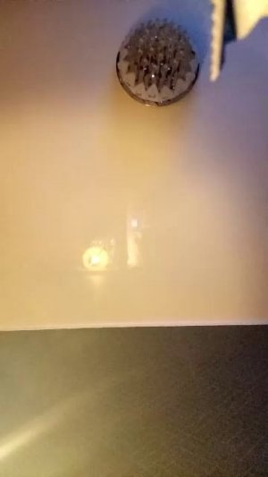 тихий челик