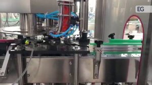 Автоматическая роторная укупорочная машина FX-6A