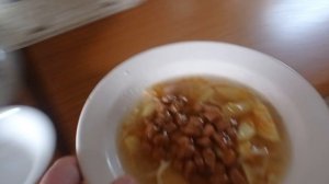 Как правильно кормить кошаков