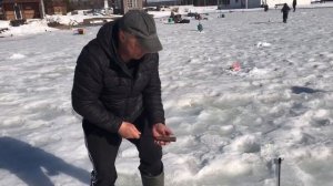 ещё одна форель на льду