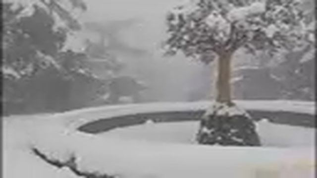 Белый Тифлис