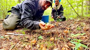 Жизнь В ДЕРЕВНЕ! Отправились в лес за самыми вкусными грибами в мире!