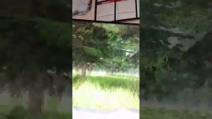 трансляция