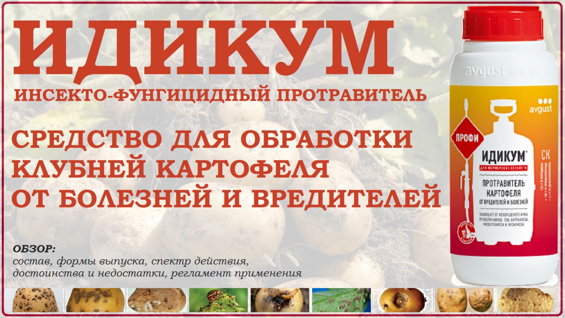 Идикум – средство для протравливания клубней картофеля от болезней и вредителей при посадке. Обзор