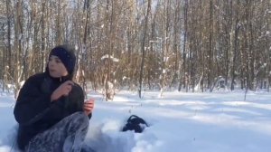 похищенный для леса ЧАСТЬ 20