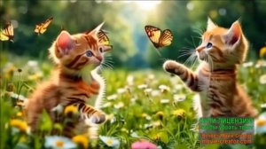 20 МАРТА.МЕЖДУНАРОДНЫЙ ДЕНЬ СЧАСТЬЯ!МУЗЫКАЛЬНЫЕ ПОЖЕЛАНИЯ