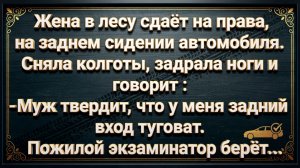 Жена в лесу сдаёт на права, на заднем седении автомобиля. Сняла колготы, задрала ноги и говорит...