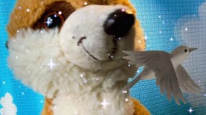 Зачем птицы возвращаются? Сусля расскажет