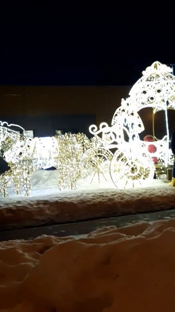 В зимнем парке ранняя весна...