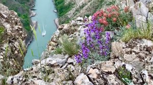 Дагестан майские Фототур с Андреем Грачевым 2022