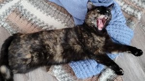 Без роспуска никуда😉 Оказалось проще простого👍