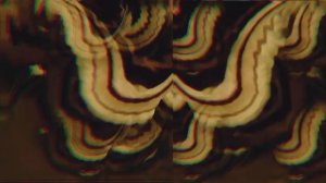 искаженный гумибер