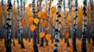 Вохник Андрей - Невозможно