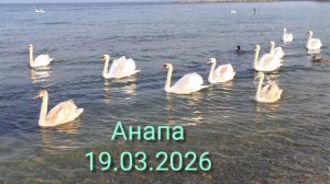Анапа 19.03.2026