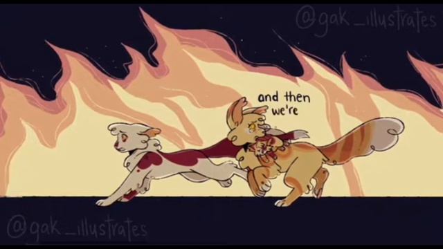 коты воители/эдит